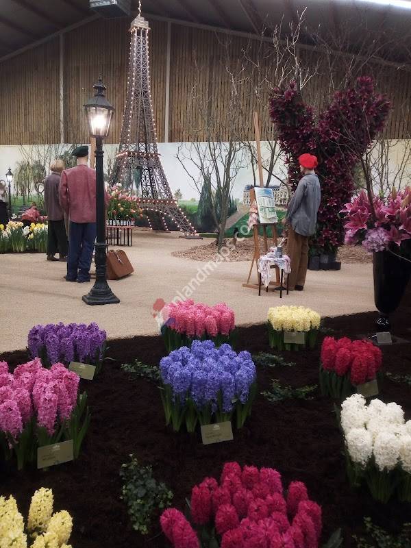 Rooms-Katholieke Basisschool (RKBS) St Jan (Stichting Sarkon)