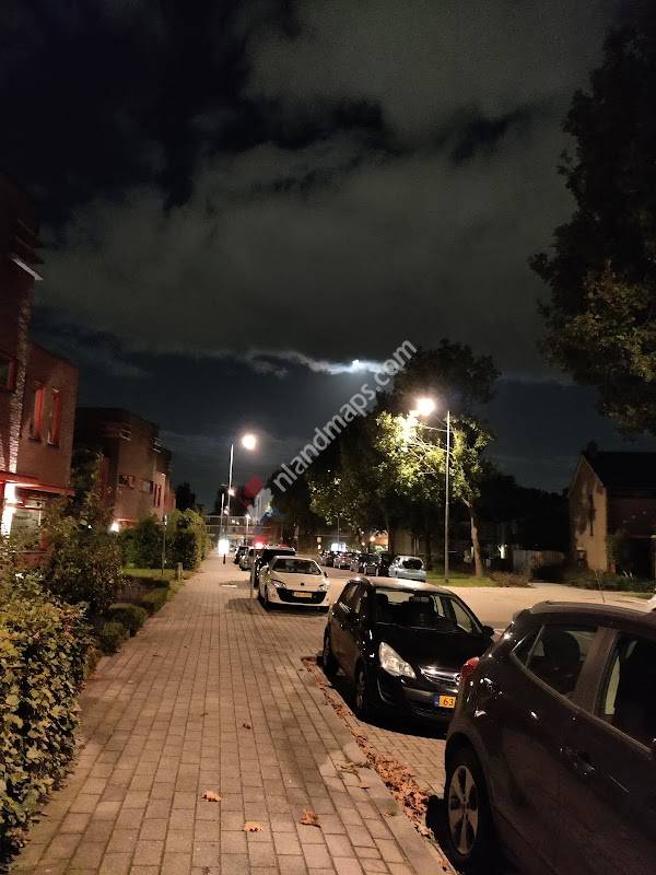 Rozenburg, Eikenlaan