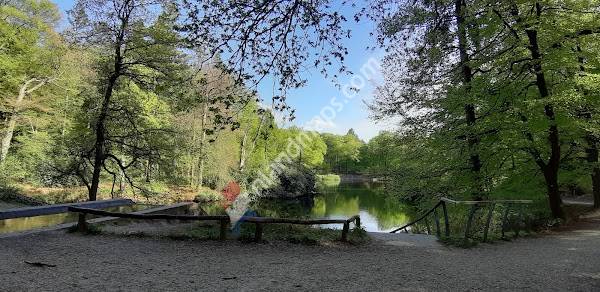 Schaarsbergen, C. van Maasdijklaan