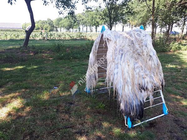 Schapenboerderij Penninga