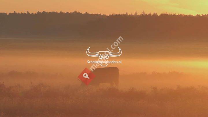schotsehooglanders.nl