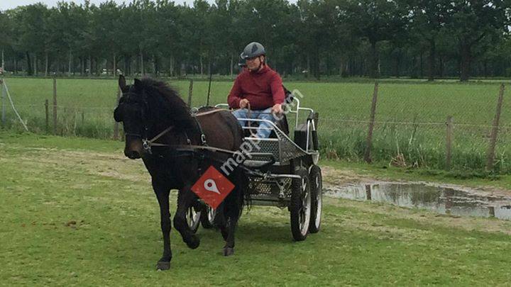 Smalltown Horse Stables