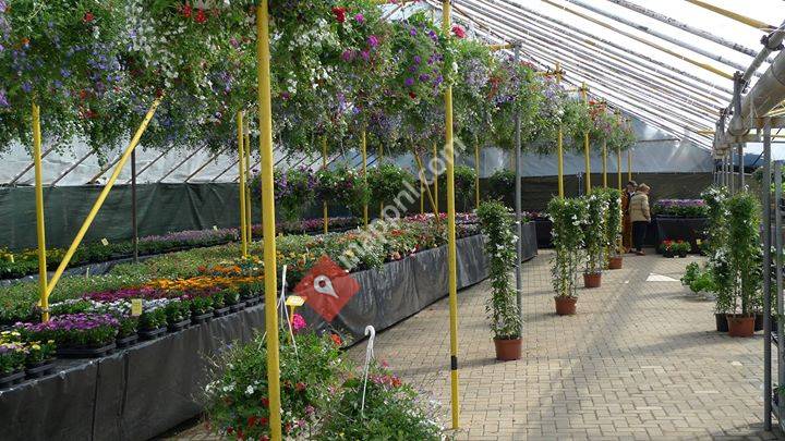 Spierts Bloemen & Planten