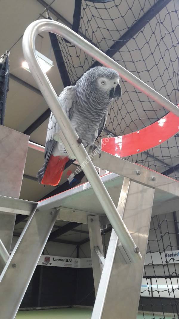 Sportcentrum midden Boskoop