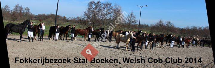 Stal Boeken