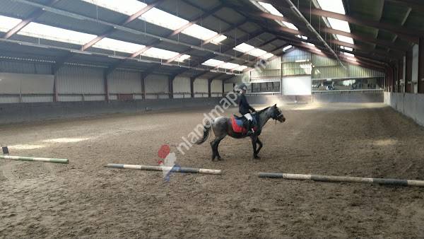 Stal De Drie Merrien