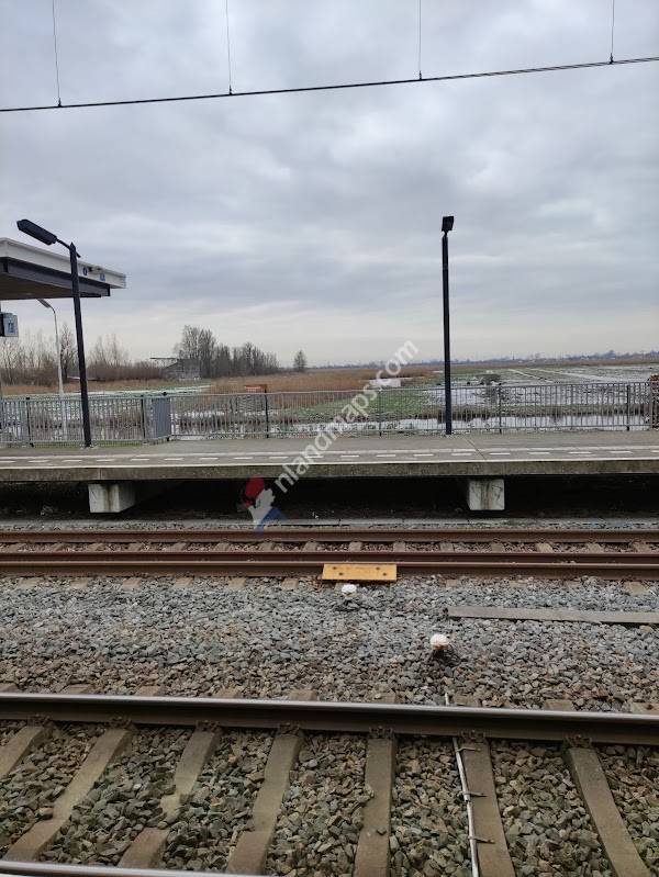 Station Wormerveer