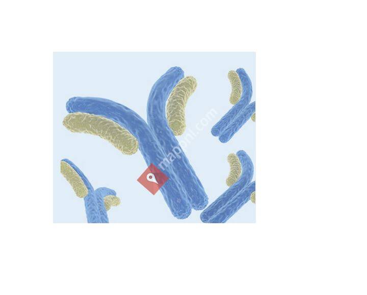 Stem Cells Freak