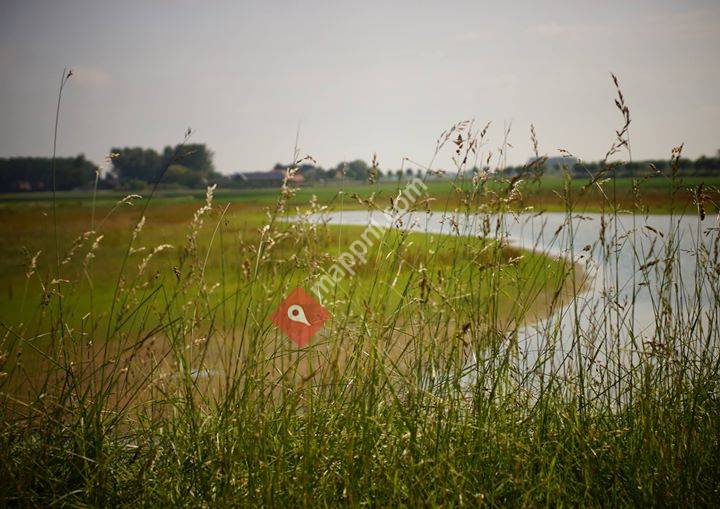 Stichting DementieVriendelijk Sluis