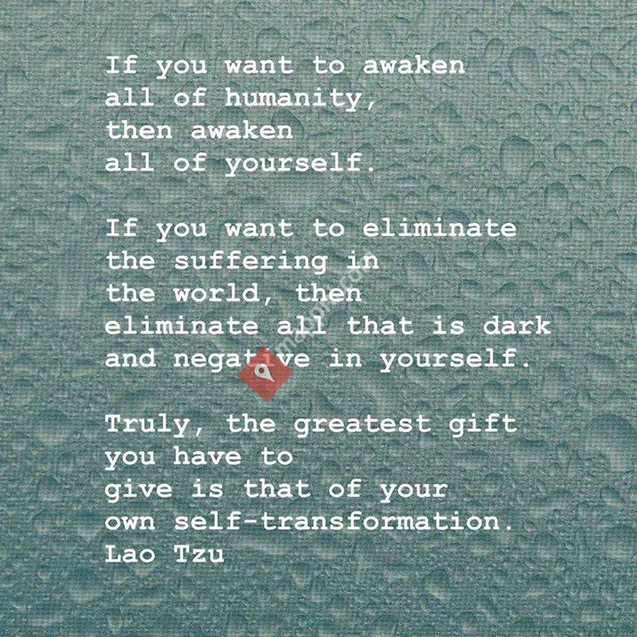 Stichting Seven Generations