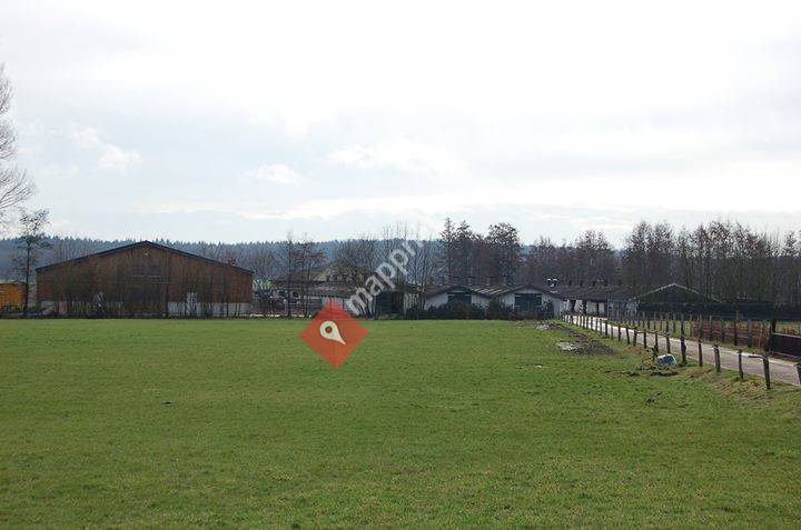 Stoeterij/pensionstal JM Sommers