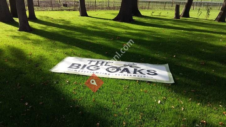 The Big Oaks