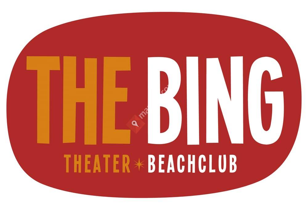 The Bing