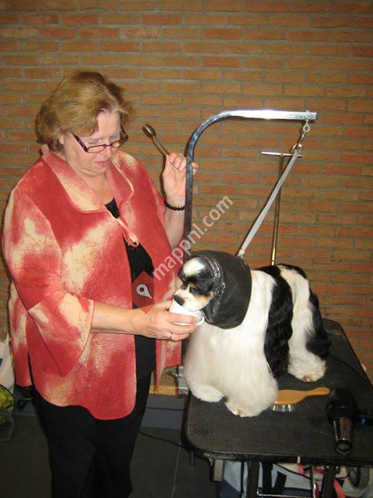 The Dogs Toilet Shop