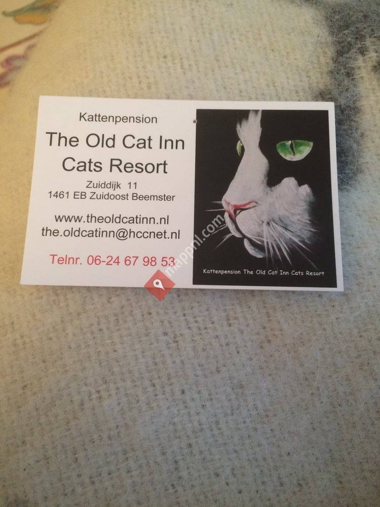The Old Cat Inn Cats Resort
