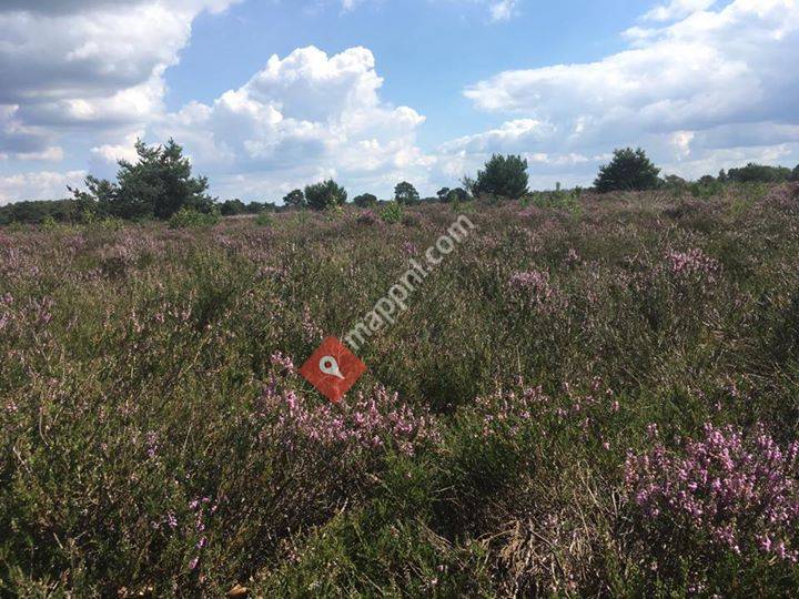 TIP de Brabantse Kempen