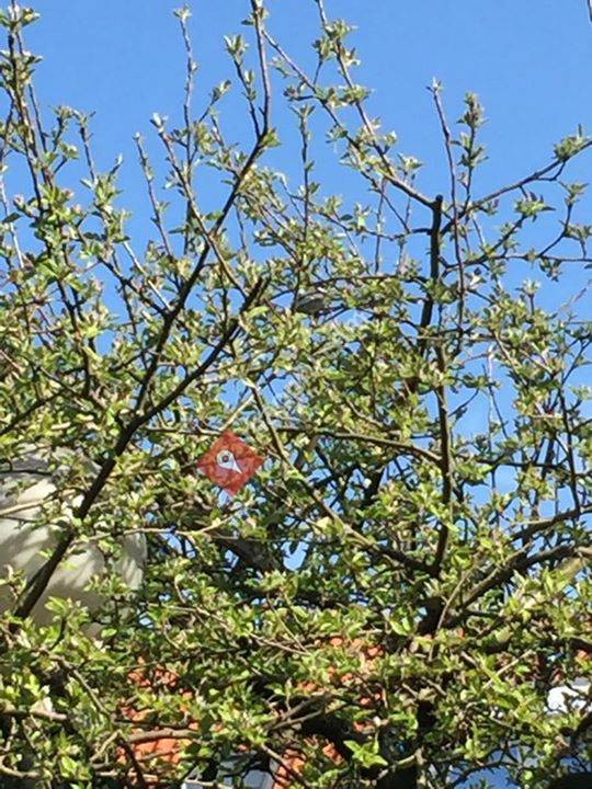 Uw Vakzaak Willy Schellekens