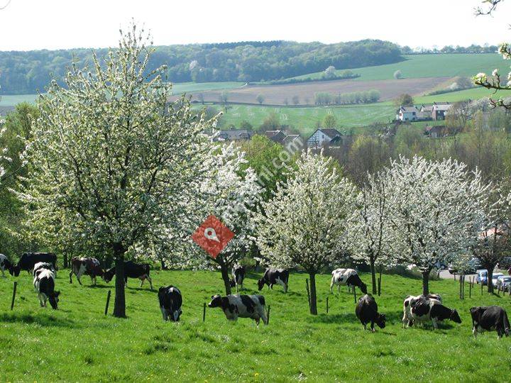 Vakantie Voncken - minicamping en vakantiewoning Zuid-Limburg