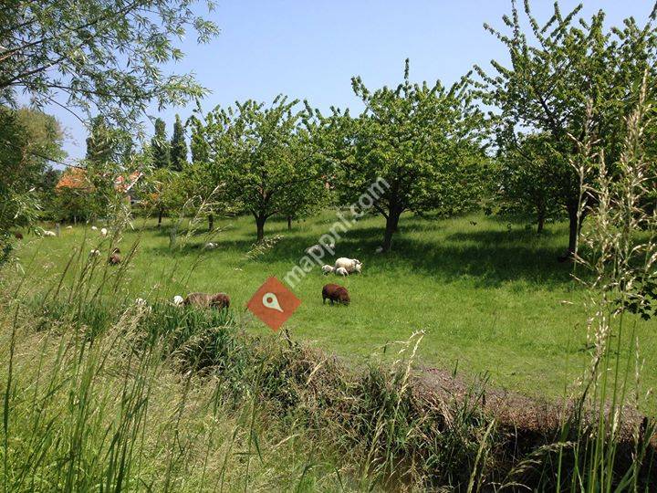 Vakantiewoning t Gasthu