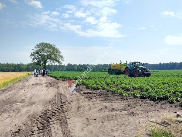 van den borne aardappelen