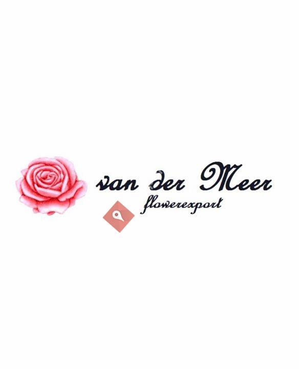 van der Meer flowerexport