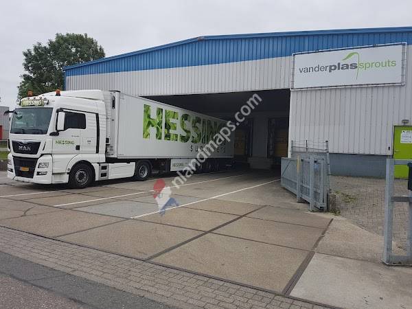 Van der Plas Sprouts