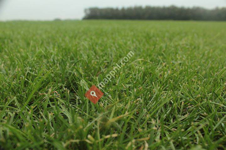 Van Waes Graszoden