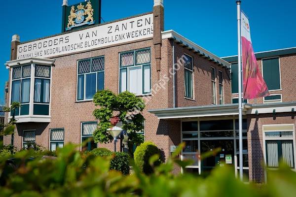 Van Zanten Flowerbulbs B.V.