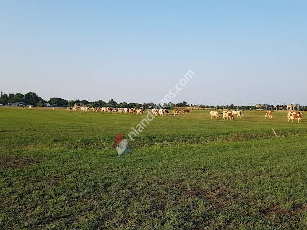 Veehouderij Bruijnes B.V.