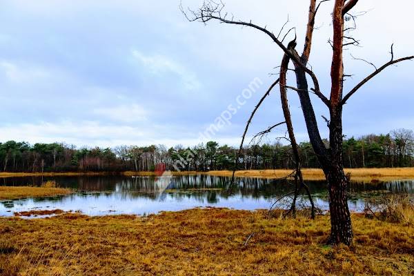 Visdonk honden loslooproute