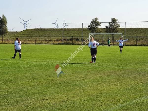 Voetbalvereniging Bruse Boys