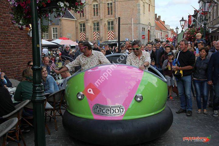 Vrienden Van Hart Van Sluis