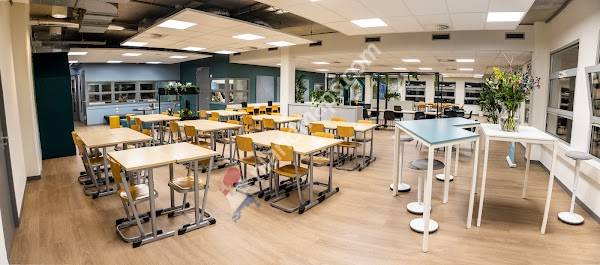 Wateringse Veld College