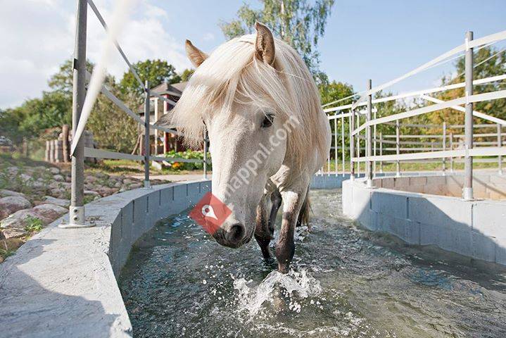 Waterstapmolen Klijndijk