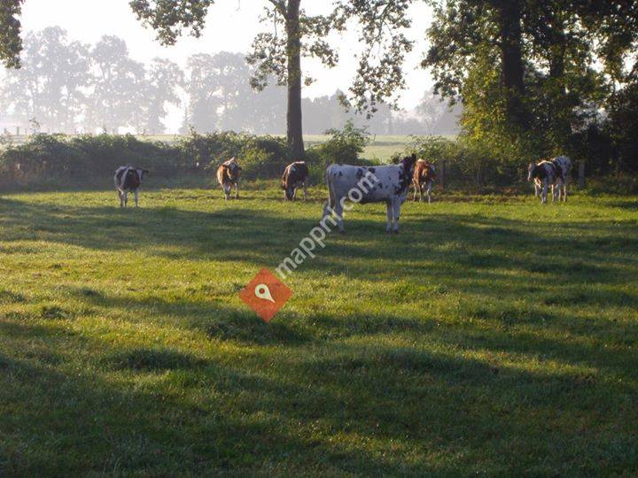 Workshop-Boerderij Kampboer