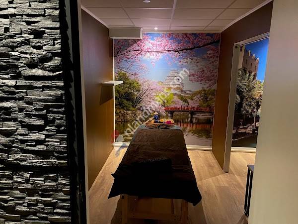 Zenzu Massage Clinics Gouda