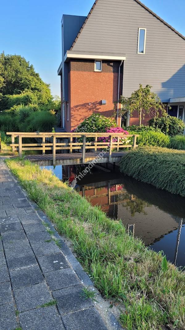 Zoeterwoude, Dorp