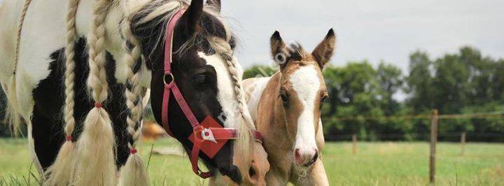 Zorgboerderij John en Marga van der Wijst