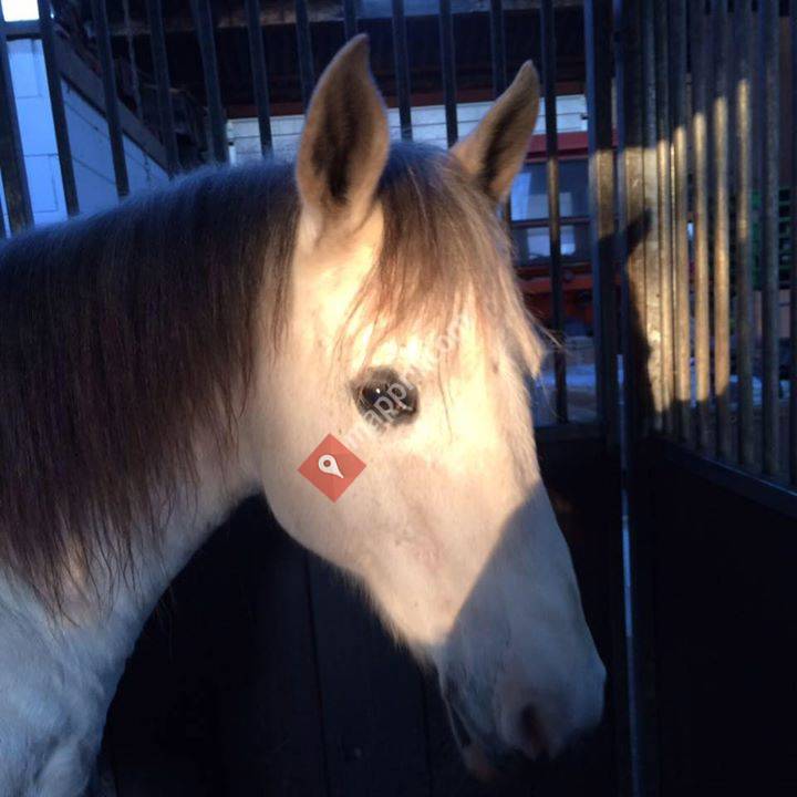 Zorgboerderij Veldzicht - Zeegse