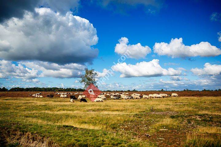 ZuidWest Drenthe